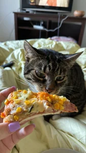 your_soul_Anna My soul - , tip for his snacks if u like him ) Pic 8