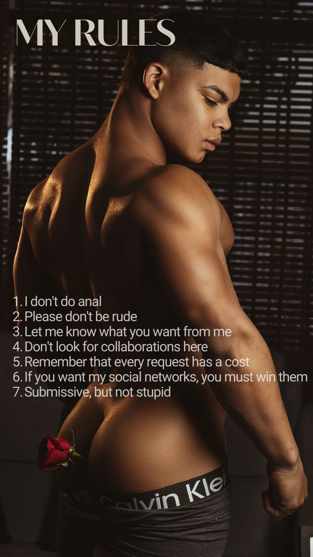 BruceStroud Popularna fotka 7906