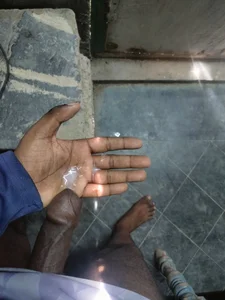 khilkhiladi Public Poză