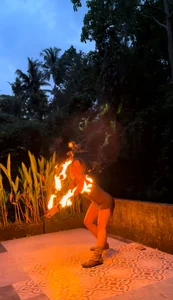 TheQueenCobra Public Immagine 