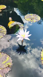 Aphrodite-777 ❤️‍🔥I invite you to my hobbies 💐 Foto