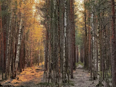 AlexFH life is beautiful slika 8