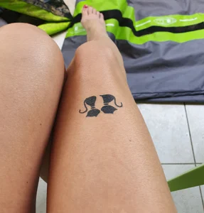 Public de Zelie10  3 Imagens