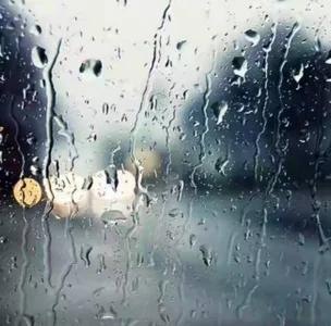 o0-69o Public Εικόνα 5