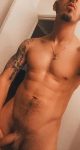 Antoniothedon FRee2 Billede 3