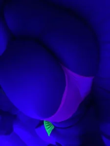 😝😝😝 de CelesteBailey  5 photos