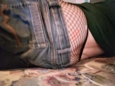 Porkypproni de porkypproni  3 Imagens