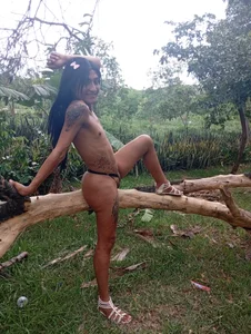 Trans-colombia's photo