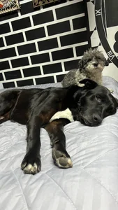 My adopted angels de Kat_Art  7 Imagens