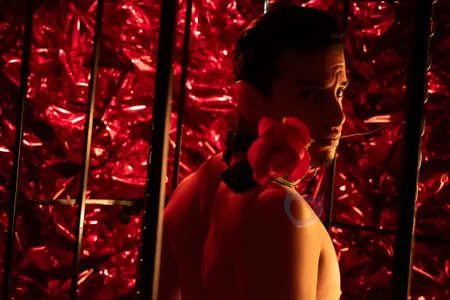 Maximo__ BDSM San Valentines Day Foto 4