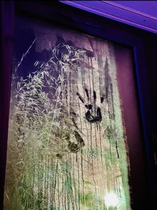 Zdjęcia fioxy69 Public:  3