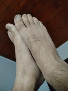 zoticoo Pies Pic 2