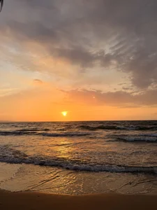 ALISSON_FOXXX1 Warm paradise ✨🌈 Pic 6
