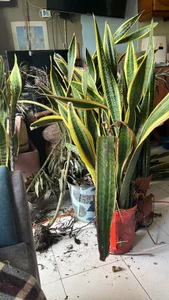 k_lebannon Public Pic 6