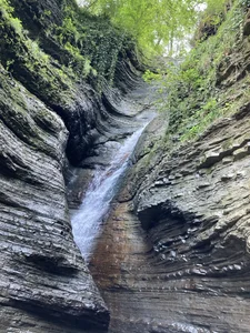 Golyboglazkaa rest Kuva 4