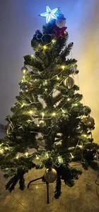 Kore_Persephone 🌌🌻🌲🌠Merry Christmas🌠🌲🌻🌌 รูป  3