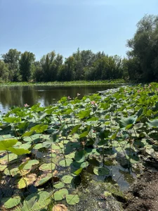 ZlatoslavaLoのmy lifeの 3枚の写真