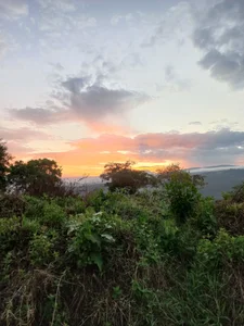 gatadeojosclaros Mamacita Poză 2