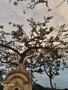 raj677181Public Bild 2