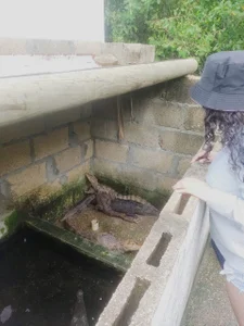 Victoria_vallejo_ your favorite girl Hình 7