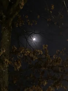 MAMA69LAMA sexy Foto 8