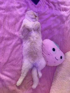 paradisaic_delight kullanıcısının My big little love albümü -  6 fotoğraf