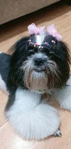 magenta_maturr Public Pic 9