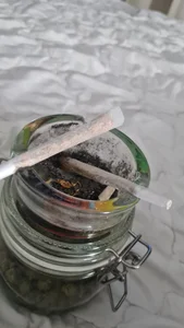 Tholel420 Public Foto 3