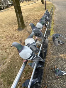 xxoLENAoxx a parco Poză 3