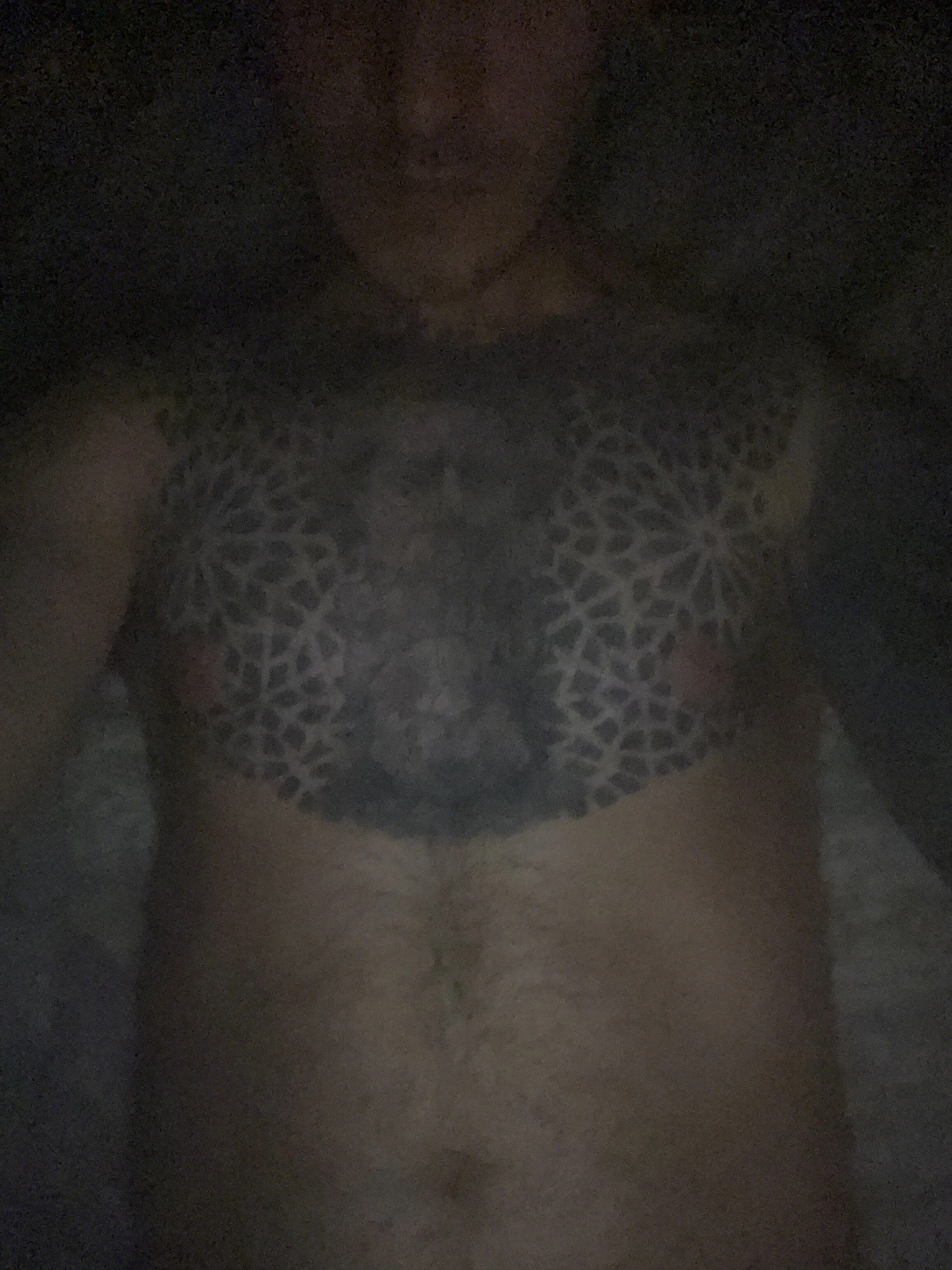 pichota23Public Bild 3