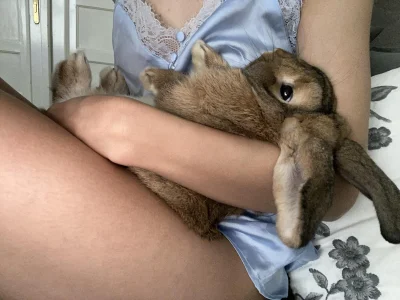 KirstenDanston Cake & Me Bilde 5