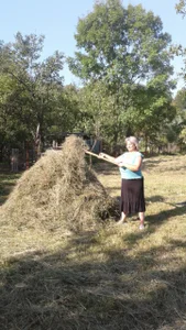 ExquisiteMature Firewood Hình