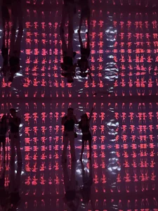 bondedbyskin US Poză 2