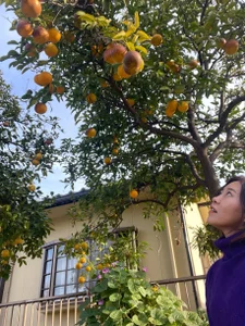 LovelyNanako Public Pic 4