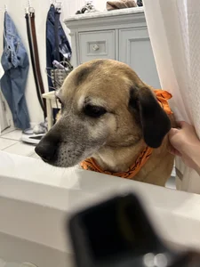 MissMaggie Bad accident Foto 6