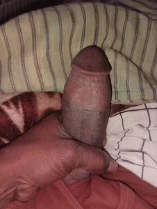 Bengali_BULL1: Public ( 4 фото)