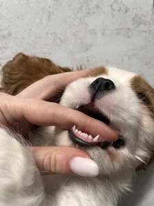 Life od Eva_Milon_  8 snímek