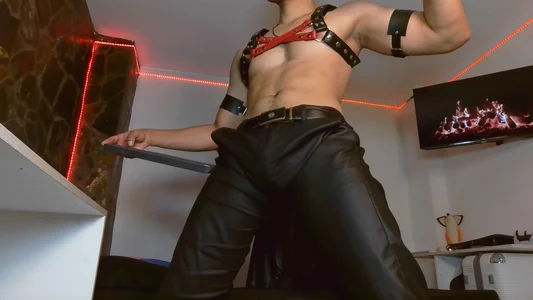 Thonydupont Harness 圖片 5