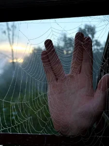 Breston_Sweet Public Foto 9