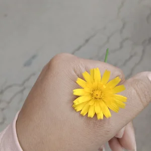 Sariitaa_ Piedras del tunjo Immagine  3