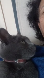 Anniseed_64 Public Hình 8