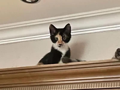 Gxhmelx-xiaoxiao 调皮捣蛋❤️ 圖片 5