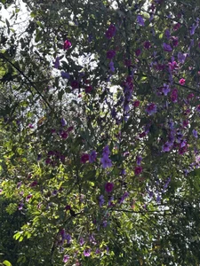 💚 de karlaa_megan  2 Imagens