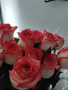 saritaa_8 I LOVE ROSES 💜🌹💐 Pic 4