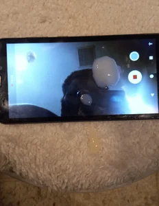 ChristinaChristy Thumbnail for I Masturbated right by Toilet Seat in Point Up View while Standing 사진