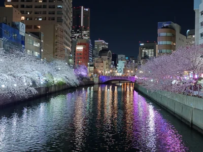 kimagure-fu- Public Pic 4