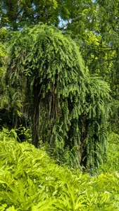 Bo0g: Nature photography ( 7 фото)