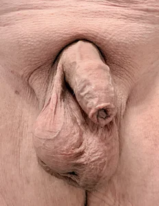 bigpru Public Foto 9