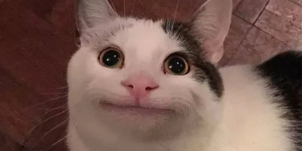randomized699421s XXX nøgenfoto 1