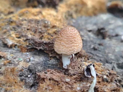 lilahSweet Day in the park 🌈❤⚜ Pic